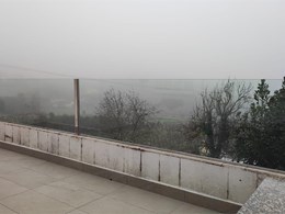 IMG-20241211-WA0025
